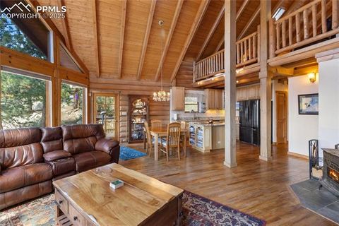 Tiny photo for 515 Valley View Drive, Florissant, CO 80816 (MLS # 6988526)