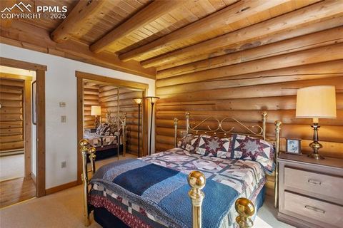 Tiny photo for 515 Valley View Drive, Florissant, CO 80816 (MLS # 6988526)