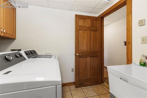 Tiny photo for 515 Valley View Drive, Florissant, CO 80816 (MLS # 6988526)