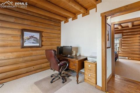 Tiny photo for 515 Valley View Drive, Florissant, CO 80816 (MLS # 6988526)