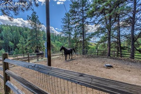 Tiny photo for 515 Valley View Drive, Florissant, CO 80816 (MLS # 6988526)