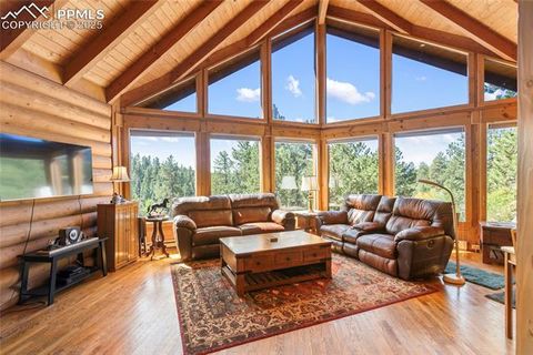 Tiny photo for 515 Valley View Drive, Florissant, CO 80816 (MLS # 6988526)