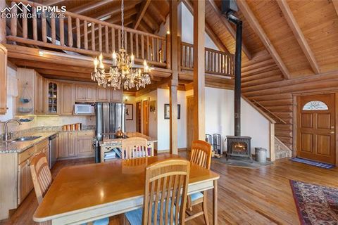Tiny photo for 515 Valley View Drive, Florissant, CO 80816 (MLS # 6988526)