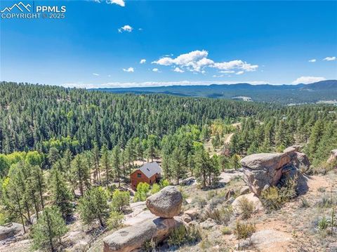 Tiny photo for 515 Valley View Drive, Florissant, CO 80816 (MLS # 6988526)