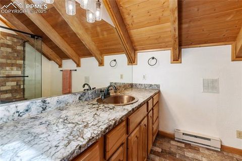 Tiny photo for 515 Valley View Drive, Florissant, CO 80816 (MLS # 6988526)