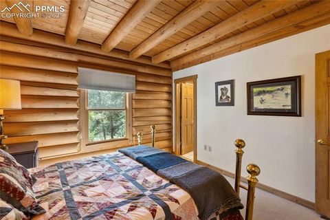 Tiny photo for 515 Valley View Drive, Florissant, CO 80816 (MLS # 6988526)