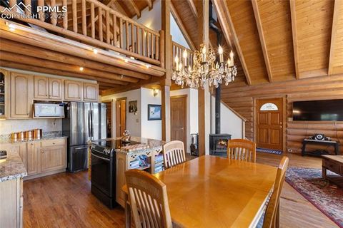 Tiny photo for 515 Valley View Drive, Florissant, CO 80816 (MLS # 6988526)