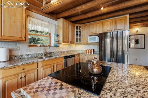 Tiny photo for 515 Valley View Drive, Florissant, CO 80816 (MLS # 6988526)