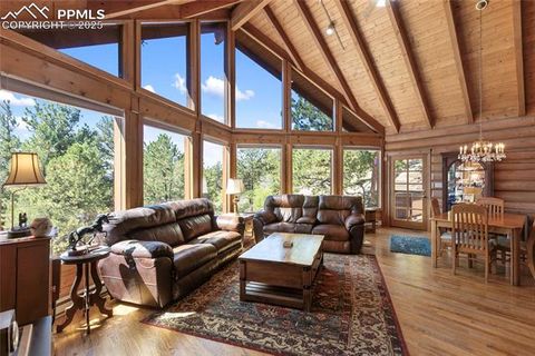Tiny photo for 515 Valley View Drive, Florissant, CO 80816 (MLS # 6988526)
