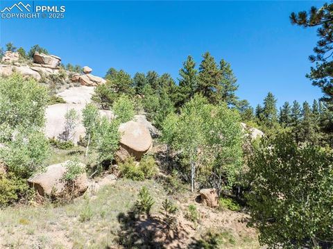 Tiny photo for 515 Valley View Drive, Florissant, CO 80816 (MLS # 6988526)