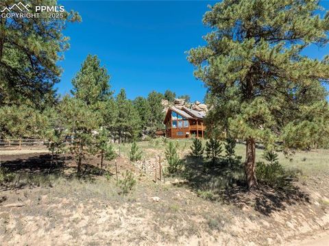 Tiny photo for 515 Valley View Drive, Florissant, CO 80816 (MLS # 6988526)