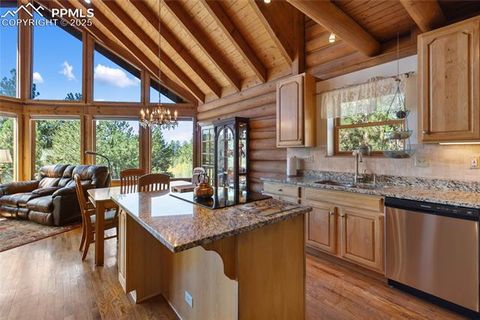 Tiny photo for 515 Valley View Drive, Florissant, CO 80816 (MLS # 6988526)