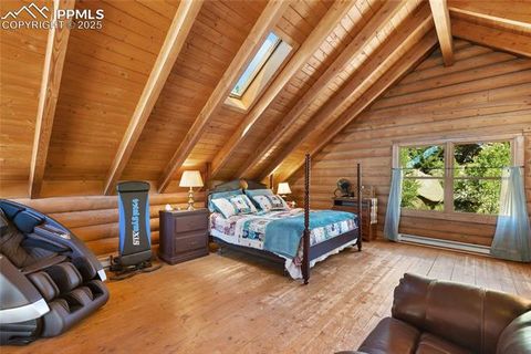 Tiny photo for 515 Valley View Drive, Florissant, CO 80816 (MLS # 6988526)