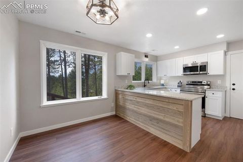 Tiny photo for 1157 Forest Edge Road, Woodland Park, CO 80863 (MLS # 2838542)