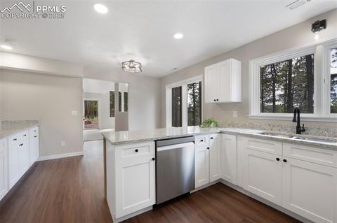 Tiny photo for 1157 Forest Edge Road, Woodland Park, CO 80863 (MLS # 2838542)