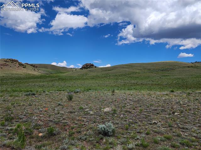 View Hartsel, CO 80449 land