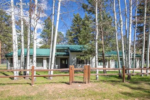1509 Sunshine Circle Woodland Park CO 80863