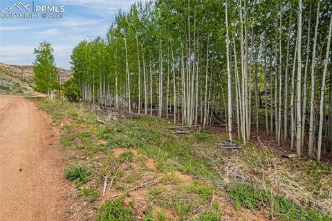 Photo of 14 Columbine Circle, Woodland Park, CO 80863 (MLS # 5059062)