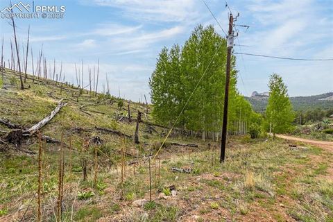 Photo of 14 Columbine Circle, Woodland Park, CO 80863 (MLS # 5059062)