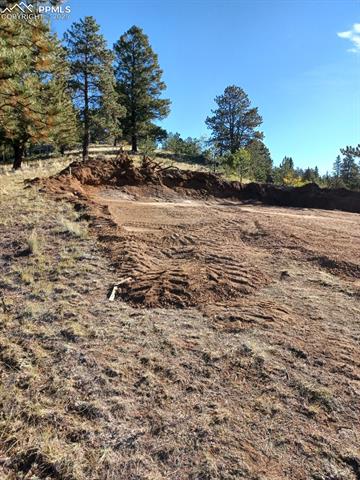 1505 Arapahoe Creek Trail