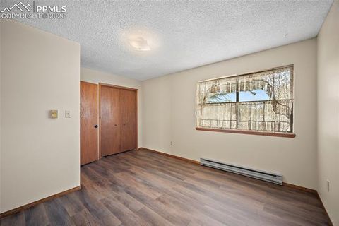 Tiny photo for 590 Manor Court #D, Woodland Park, CO 80863 (MLS # 7358125)