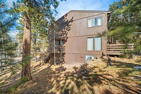 Tiny photo for 590 Manor Court #D, Woodland Park, CO 80863 (MLS # 7358125)