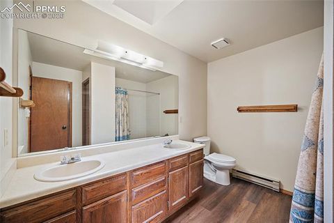 Tiny photo for 590 Manor Court #D, Woodland Park, CO 80863 (MLS # 7358125)