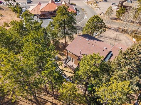 Tiny photo for 590 Manor Court #D, Woodland Park, CO 80863 (MLS # 7358125)