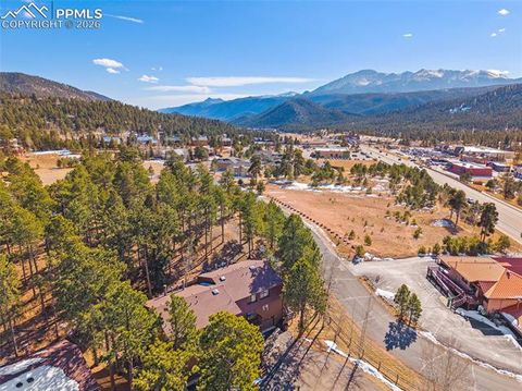 Tiny photo for 590 Manor Court #D, Woodland Park, CO 80863 (MLS # 7358125)