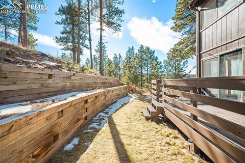 Tiny photo for 590 Manor Court #D, Woodland Park, CO 80863 (MLS # 7358125)