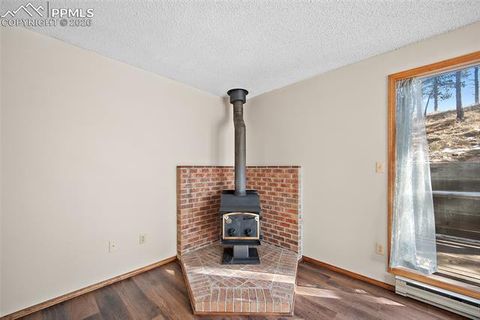 Tiny photo for 590 Manor Court #D, Woodland Park, CO 80863 (MLS # 7358125)