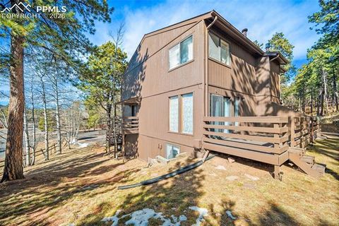 Tiny photo for 590 Manor Court #D, Woodland Park, CO 80863 (MLS # 7358125)