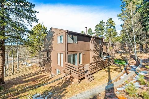 Tiny photo for 590 Manor Court #D, Woodland Park, CO 80863 (MLS # 7358125)