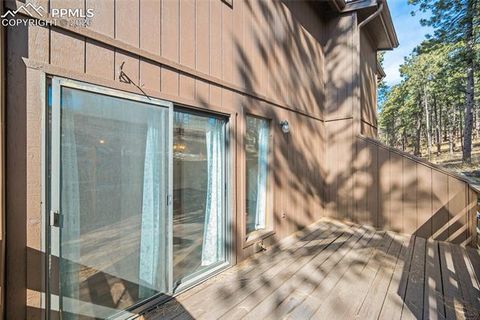 Tiny photo for 590 Manor Court #D, Woodland Park, CO 80863 (MLS # 7358125)