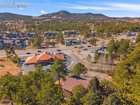 Tiny photo for 590 Manor Court #D, Woodland Park, CO 80863 (MLS # 7358125)