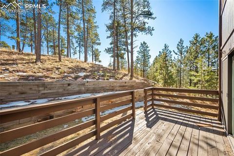 Tiny photo for 590 Manor Court #D, Woodland Park, CO 80863 (MLS # 7358125)