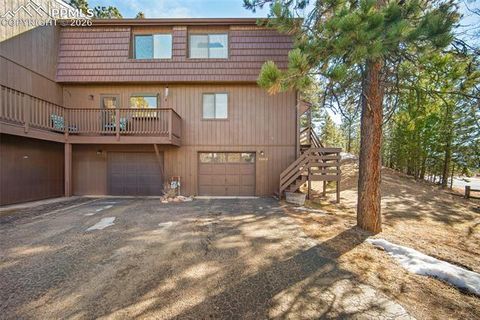 590 Manor Court D Woodland Park CO 80863