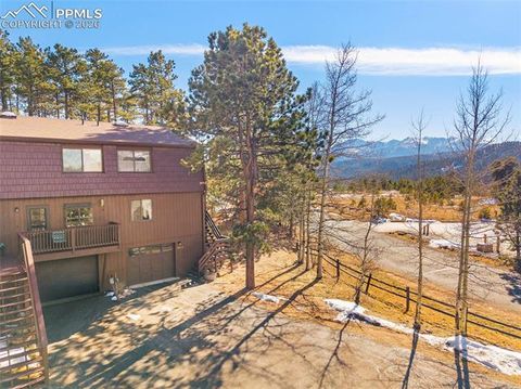 Tiny photo for 590 Manor Court #D, Woodland Park, CO 80863 (MLS # 7358125)