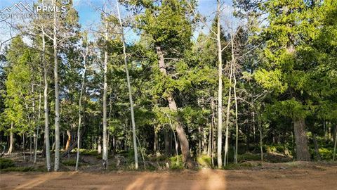 Photo of 68 Yale Place, Woodland Park, CO 80863 (MLS # 8591866)