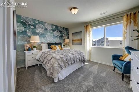 Tiny photo for 8140 Sophia Lane, Falcon, CO 80831 (MLS # 9755039)