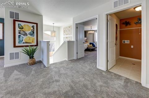 Tiny photo for 8140 Sophia Lane, Falcon, CO 80831 (MLS # 9755039)