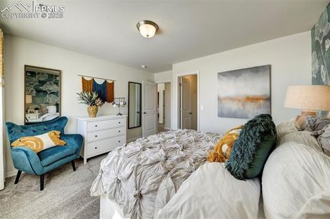 Tiny photo for 8140 Sophia Lane, Falcon, CO 80831 (MLS # 9755039)