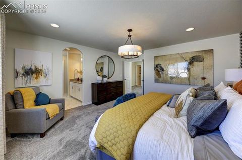 Tiny photo for 8140 Sophia Lane, Falcon, CO 80831 (MLS # 9755039)
