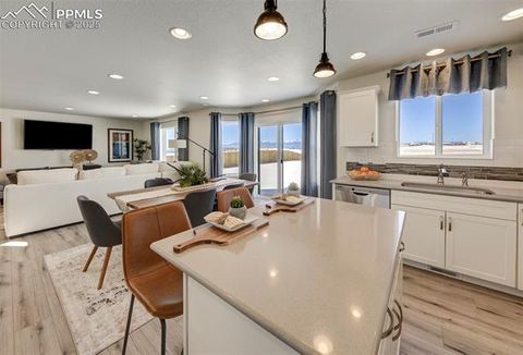 Tiny photo for 8140 Sophia Lane, Falcon, CO 80831 (MLS # 9755039)
