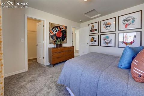 Tiny photo for 8140 Sophia Lane, Falcon, CO 80831 (MLS # 9755039)