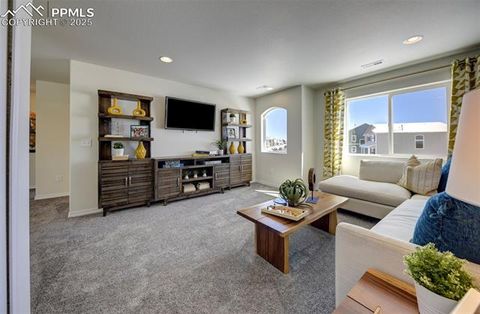 Tiny photo for 8140 Sophia Lane, Falcon, CO 80831 (MLS # 9755039)