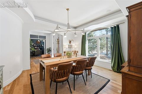 Tiny photo for 18030 Bankhurst Court, Monument, CO 80132 (MLS # 3044287)