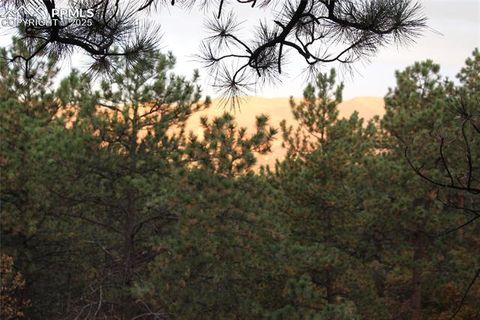 Tiny photo for 5810 Spurwood Court, Colorado Springs, CO 80918 (MLS # 7133216)