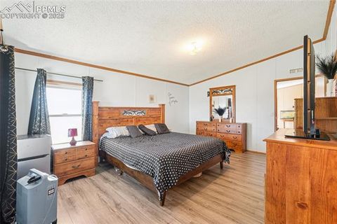 Tiny photo for 265 Trout Road, Fairplay, CO 80440 (MLS # 4442170)