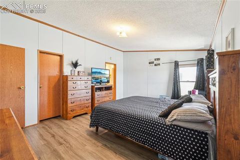 Tiny photo for 265 Trout Road, Fairplay, CO 80440 (MLS # 4442170)